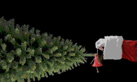 ACWA Christmas Campaign Reel V5