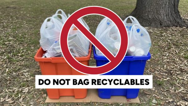 The Problem with Plastic Bags
