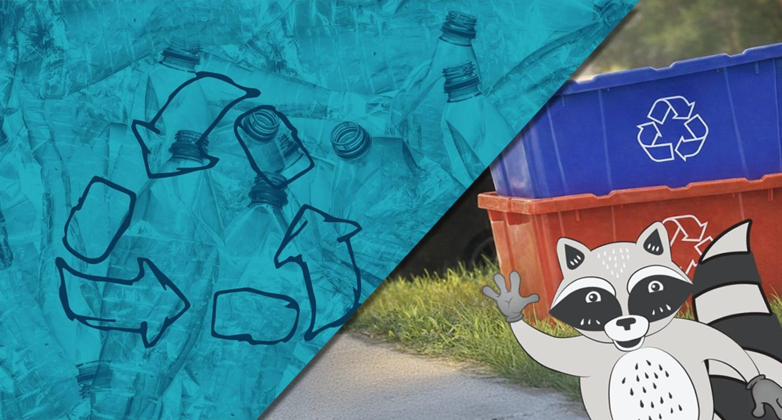 SW Home Page Banner V1 (1)